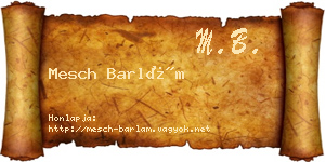 Mesch Barlám névjegykártya